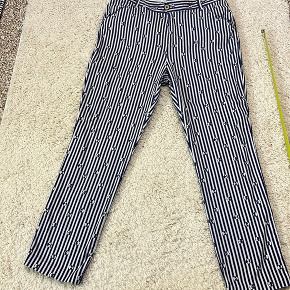 ANTHROPOLOGIE 10 The Essential Slim white and blue stripe cropped pants - Picture 5 of 10